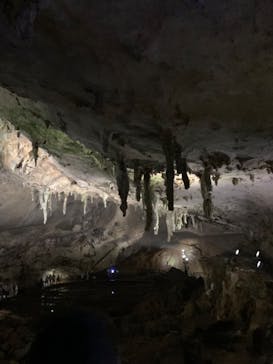 秋芳洞に投稿された画像（2024/8/14）