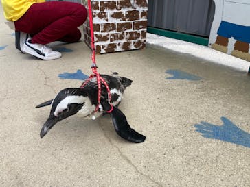 東北サファリパークに投稿された画像（2024/8/14）