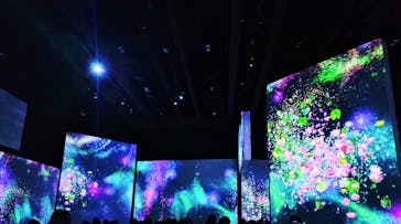 モネ＆フレンズ・アライブに投稿された画像（2024/8/14）