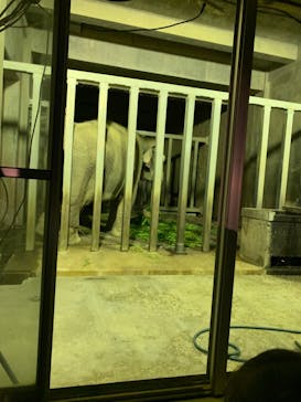 日立市かみね動物園に投稿された画像（2024/8/14）