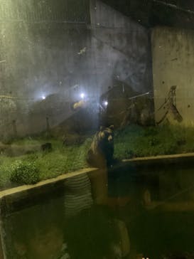 日立市かみね動物園に投稿された画像（2024/8/14）