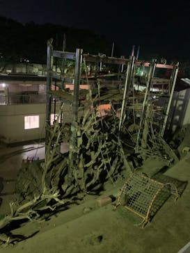 日立市かみね動物園に投稿された画像（2024/8/14）