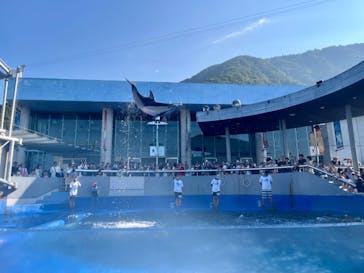 大分マリーンパレス水族館 「うみたまご」に投稿された画像（2024/8/14）