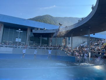 大分マリーンパレス水族館 「うみたまご」に投稿された画像（2024/8/14）