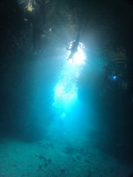 武藤潜水に投稿された画像（2024/8/14）