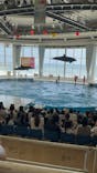 アクアワールド茨城県大洗水族館に投稿された画像（2024/8/14）