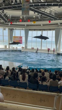 アクアワールド茨城県大洗水族館に投稿された画像（2024/8/14）