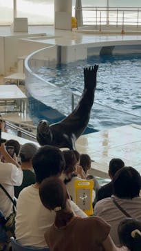 アクアワールド茨城県大洗水族館に投稿された画像（2024/8/14）