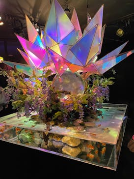 NARA KINGYO MUSEUMに投稿された画像（2024/8/14）