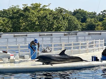 京都水族館に投稿された画像（2024/8/14）