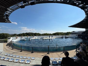 京都水族館に投稿された画像（2024/8/14）