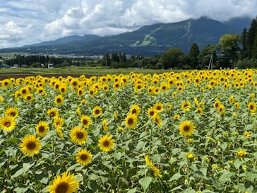 猪苗代ハーブ園に投稿された画像（2024/8/14）