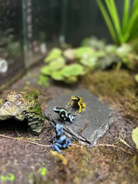 サンシャイン水族館に投稿された画像（2024/8/14）