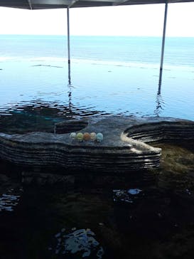 上越市立水族博物館 うみがたりに投稿された画像（2024/8/14）