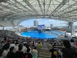 名古屋港水族館に投稿された画像（2024/8/14）