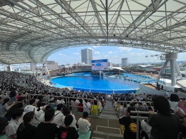 名古屋港水族館に投稿された画像（2024/8/14）