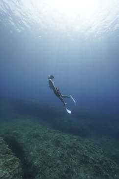 ちゃこたびに投稿された画像（2024/8/14）