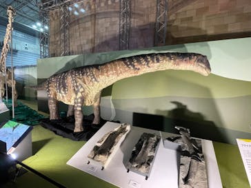 巨大恐竜展2024に投稿された画像（2024/8/14）