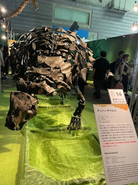 巨大恐竜展2024に投稿された画像（2024/8/14）