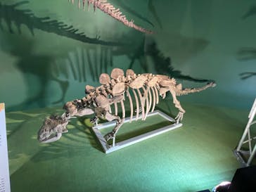 巨大恐竜展2024に投稿された画像（2024/8/14）
