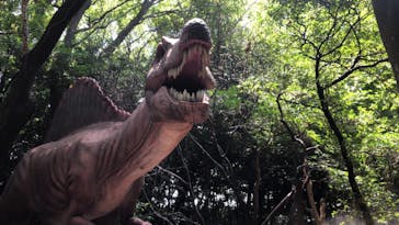 芝政ワールドに投稿された画像（2024/8/14）