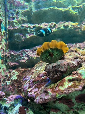 サンシャイン水族館に投稿された画像（2024/8/14）