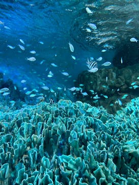 サンシャイン水族館に投稿された画像（2024/8/14）