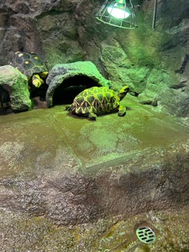 サンシャイン水族館に投稿された画像（2024/8/14）