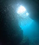 沖縄マリンサービス碧に投稿された画像（2024/8/14）