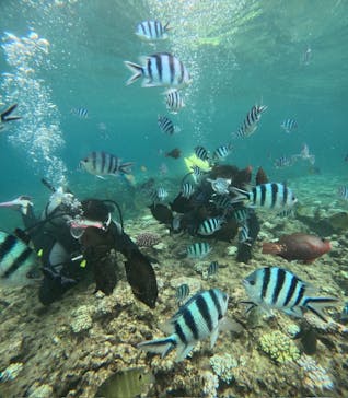 沖縄マリンサービス碧に投稿された画像（2024/8/14）