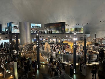 福井県立恐竜博物館に投稿された画像（2024/8/14）