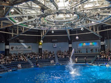 マクセル アクアパーク品川に投稿された画像（2024/8/14）