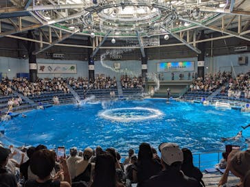 マクセル アクアパーク品川に投稿された画像（2024/8/14）