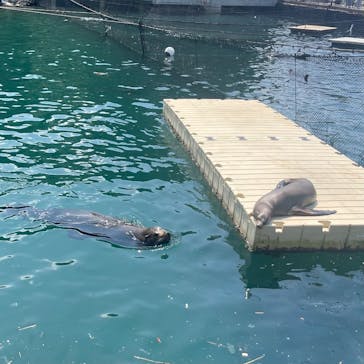 伊豆・三津シーパラダイスに投稿された画像（2024/8/14）