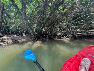 比謝川カヤックに投稿された画像（2024/8/14）