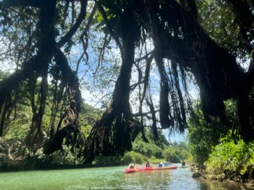 比謝川カヤックに投稿された画像（2024/8/14）