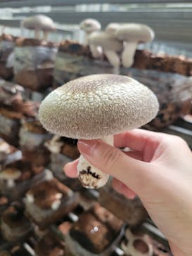 サンコウファームに投稿された画像（2024/8/14）