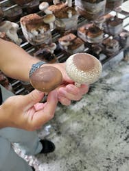 サンコウファームに投稿された画像（2024/8/14）