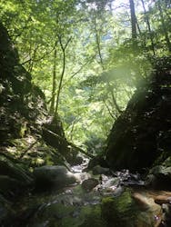 クリークサウンドに投稿された画像（2024/8/14）