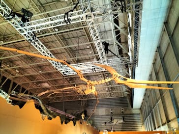 巨大恐竜展2024に投稿された画像（2024/8/14）