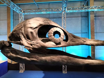 巨大恐竜展2024に投稿された画像（2024/8/14）