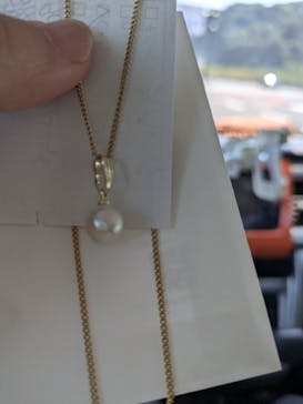 大分マリーンパレス水族館 「うみたまご」に投稿された画像（2024/8/14）