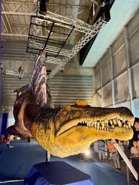 巨大恐竜展2024に投稿された画像（2024/8/14）