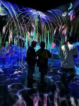 チームラボフォレスト 福岡 - SBI証券に投稿された画像（2024/8/14）