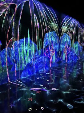 チームラボフォレスト 福岡 - SBI証券に投稿された画像（2024/8/14）