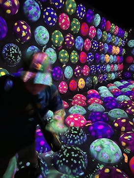 チームラボフォレスト 福岡 - SBI証券に投稿された画像（2024/8/14）