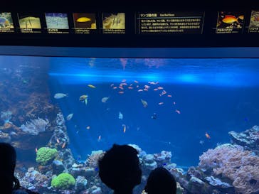 サンシャイン水族館に投稿された画像（2024/8/14）