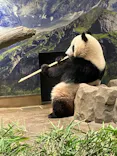恩賜上野動物園に投稿された画像（2024/8/14）
