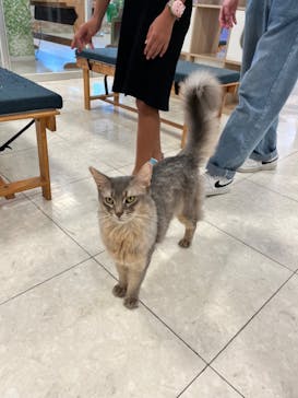 Moff animal world BIGHOPガーデンモール印西店に投稿された画像（2024/8/14）