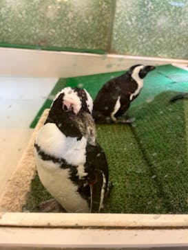 Moff animal world BIGHOPガーデンモール印西店に投稿された画像（2024/8/14）